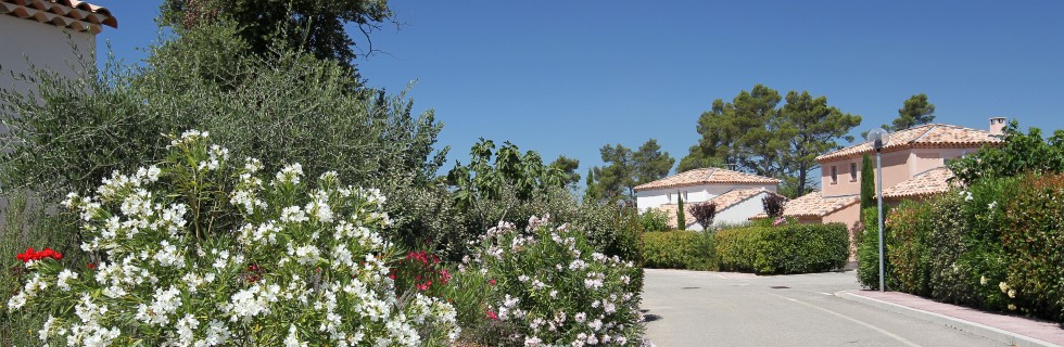 park 10.jpg