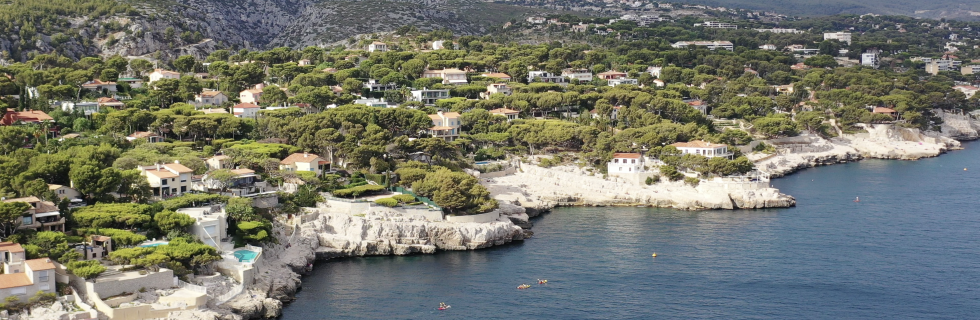 cassis 1.png